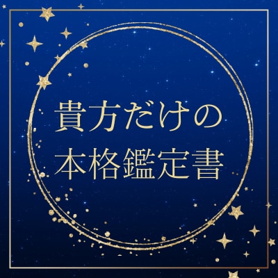24時間以内に貴方専用の手相鑑定書をお送りします 「まず試してみたい」あなたへの初回おすすめサービス イメージ2