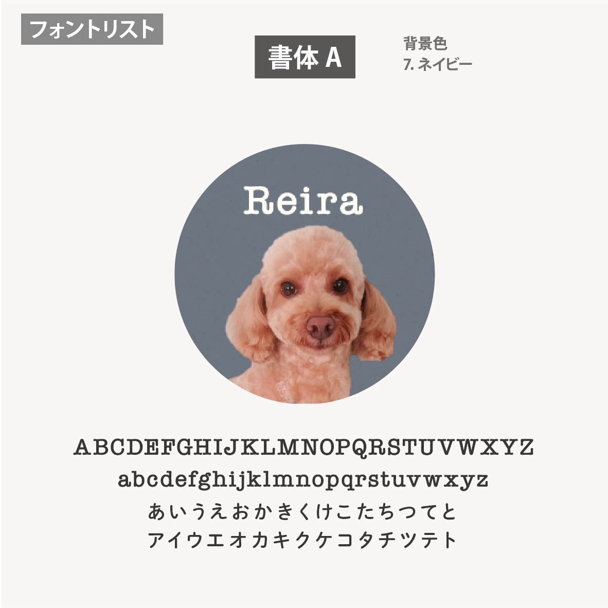 ペット写真SNSアイコンをセミオーダーで制作します 色とフォントが選べる!うちの子写真で現役デザイナーが制作 イメージ6