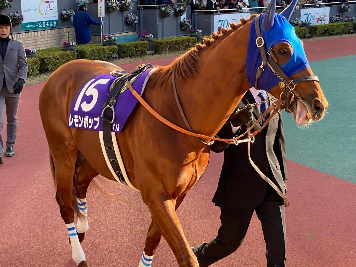 結果を出す競馬の予想の仕方教えます ★買う券種は複勝だけ！しっかり1点勝負です！ イメージ1