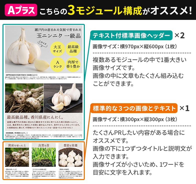プロが売れる「商品紹介コンテンツ」の画像作成します 丸投げOK！Aプラス、ブランドストーリー、ブランドストア作成 イメージ3