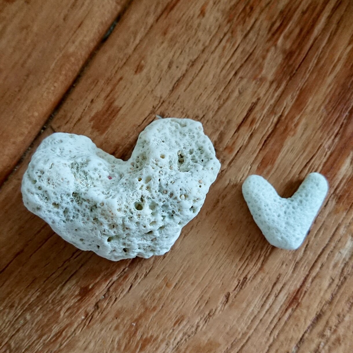 喜びも悲しみも分かち合います 一緒に喜びも悲しみも優しく共感します。 その他（悩み・恋愛・話し相手） ココナラ