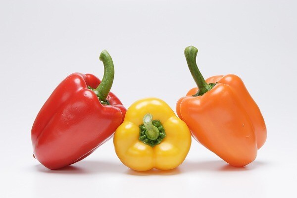 痩せるための食事内容を指導いたします 運動なしでも痩せられる食事の摂り方をお伝えします イメージ1