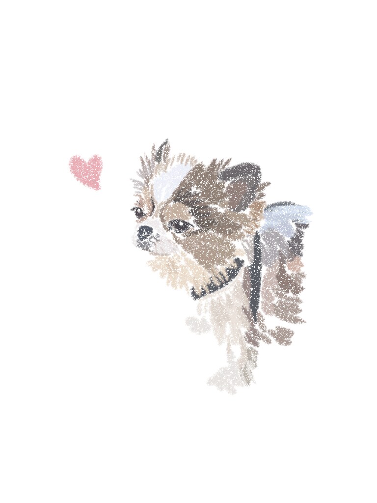 ペット、動物のイラスト描きます 可愛いうちの子描いて！という方へ イメージ5