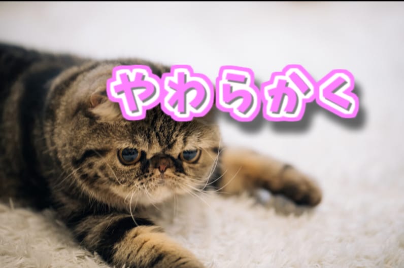 頑固な私が柔軟になった秘密✨教えます ”人は変えられない”まずは自分を変えよう✨とは言いますが⁈ イメージ1