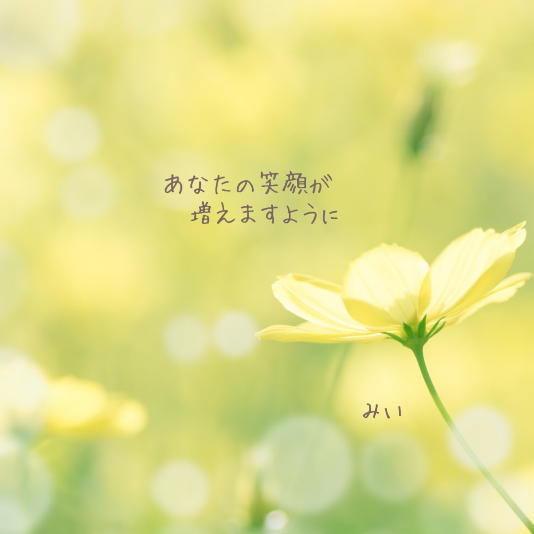 うつ病など・心の元気がない方☘️優しく寄り添います 悩み・愚痴・辛いこと・不安なこと、どんなことでも受け止めます イメージ10