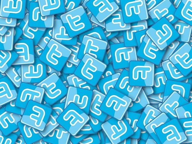 ツイッターで1か月【30日間】毎日つぶやきます 毎日つぶやくことでサービスの宣伝ができます。 イメージ2