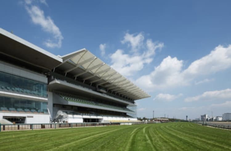 JRA重賞レースの予想代行致します 競馬予想でお困りの方や初心者の方歓迎！私の予想印教えます！ イメージ1
