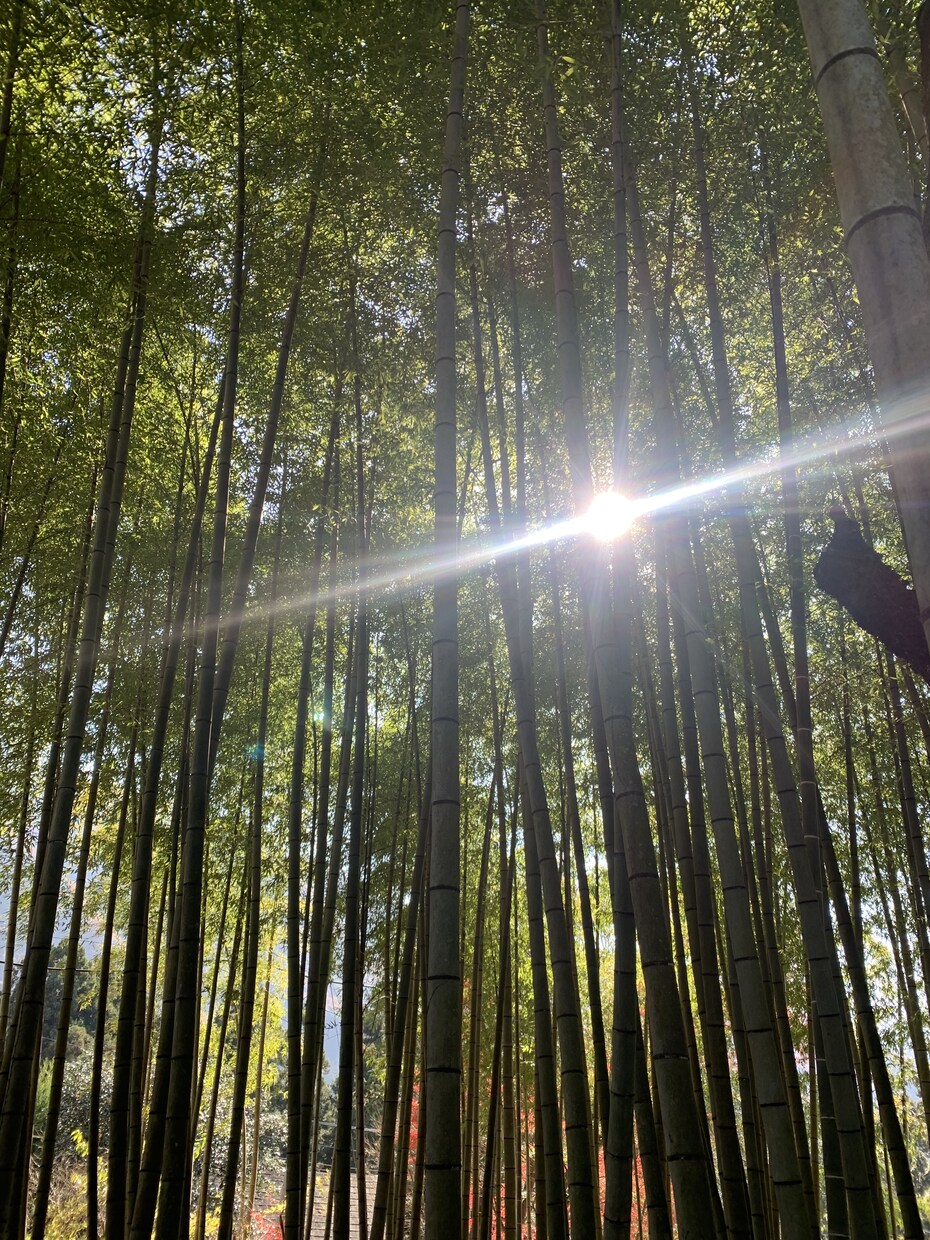 いい背景となる写真を撮ります 夕焼けなどの綺麗な写真を撮ります イメージ2