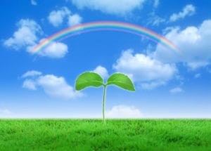 スターシード向け☆運命を変え潜在意識を覚醒させます やりたいこと、人生の目的が分からないスターシードの方勧め♡ イメージ1