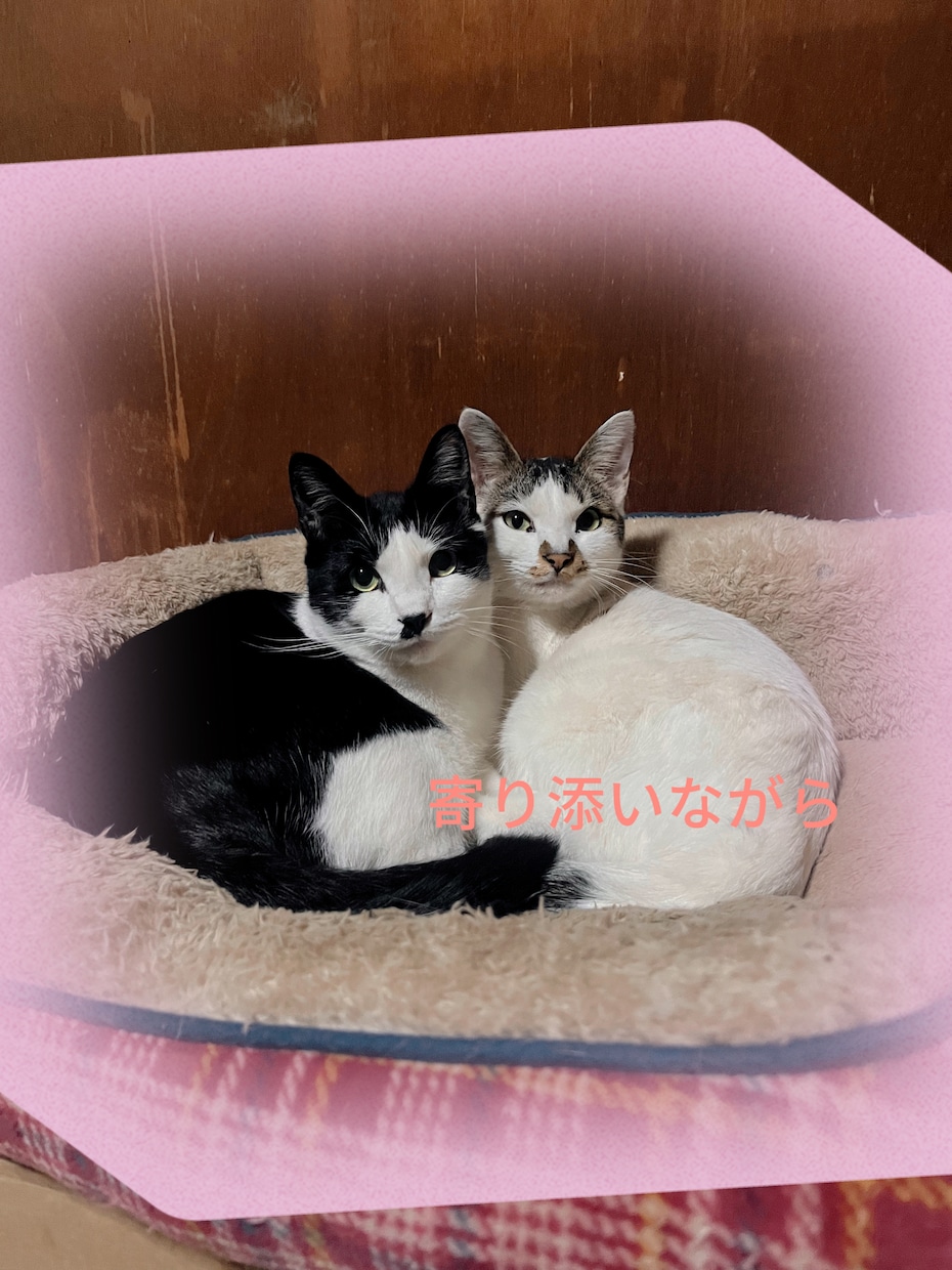 落ち込みや嫌な感情少しだけ軽くするお手伝いをします 鬱回復経験ありの私があなたを応援 イメージ3