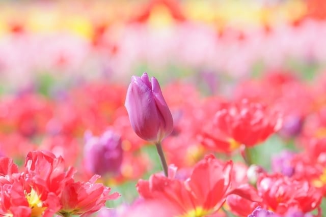 うつ病の恋人との悩み…経験者が相談に乗ります あなたの【心】は大丈夫？気持ちを吐き出そう☘ イメージ4