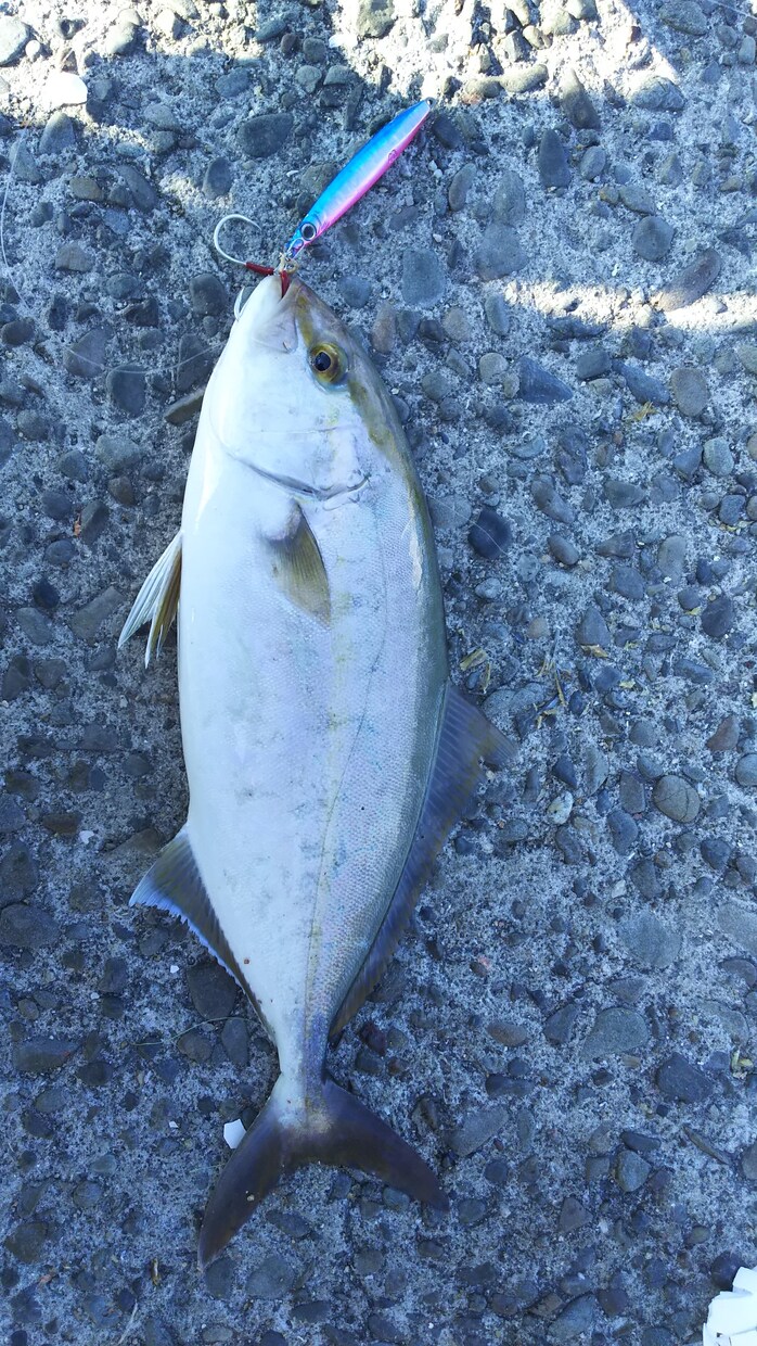 釣りの基本、考え方などを分かりやすくお教えします 【必見】これから釣りを始める方、初心者〜中級者の方に！ イメージ3