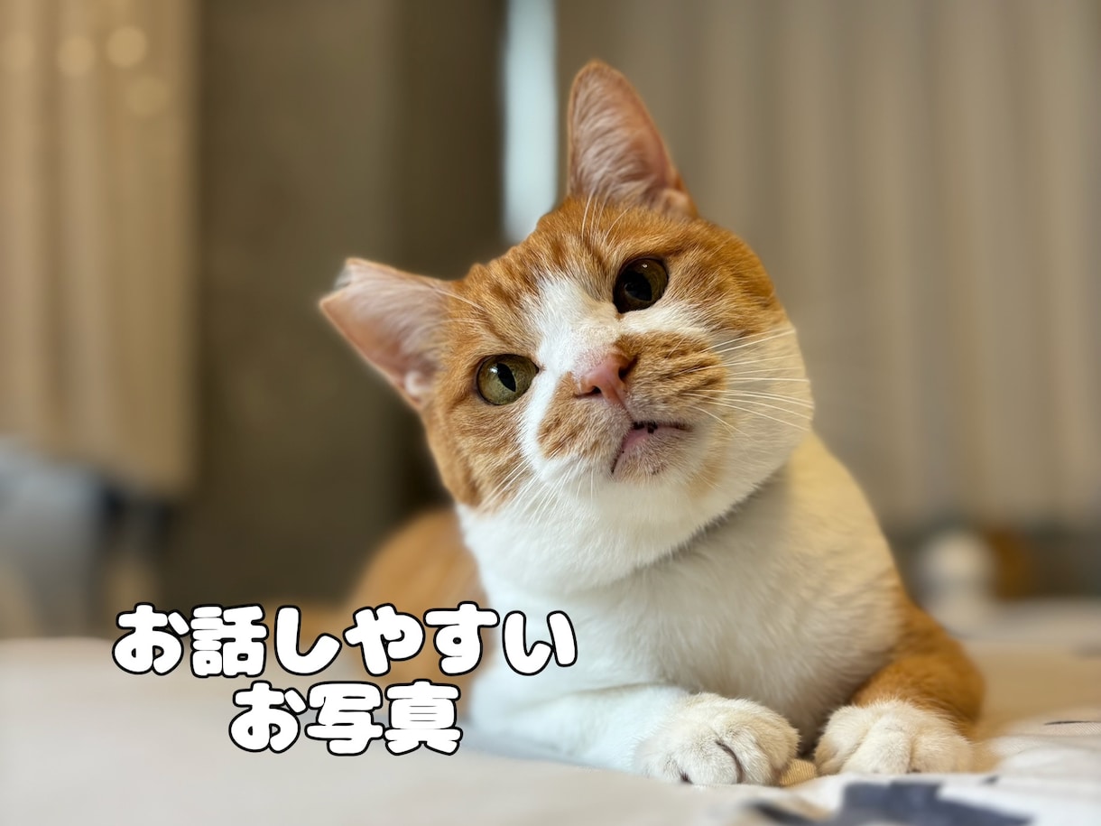 愛するペットとメッセージ交換できます うちの子の気持ち、ちゃんと知っていますか？ イメージ2