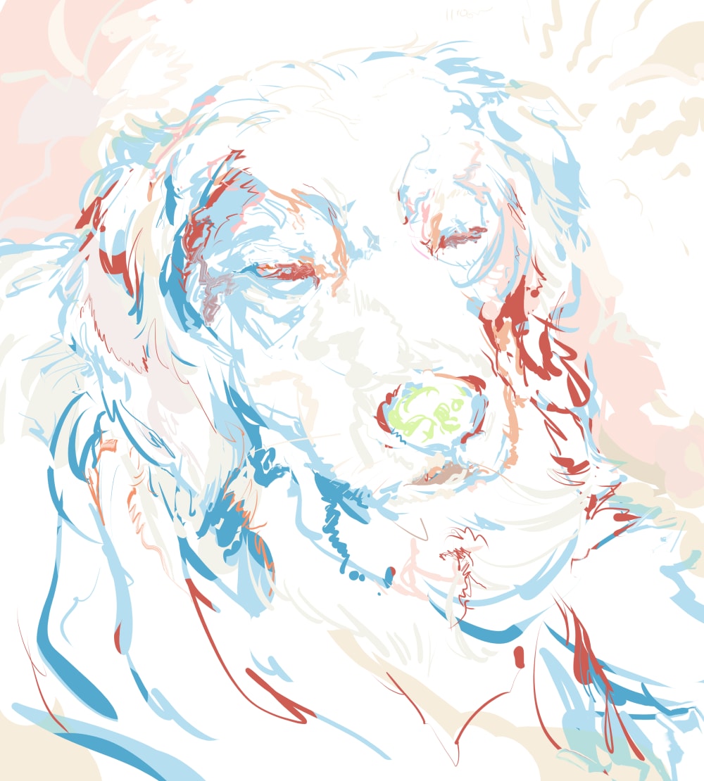 愛犬さんのイラスト お写真を元にかきます 満枠の場合はこちらに。カード、はがき、グッズなどにも イメージ9
