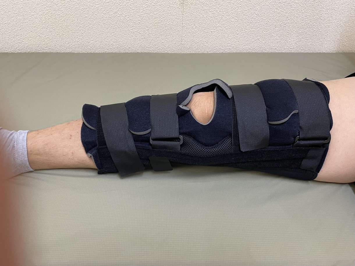 現役講師が教える柔道整復師・解剖学を指導します 現役の鍼灸・柔道整復師講師が指導する解剖学 イメージ4