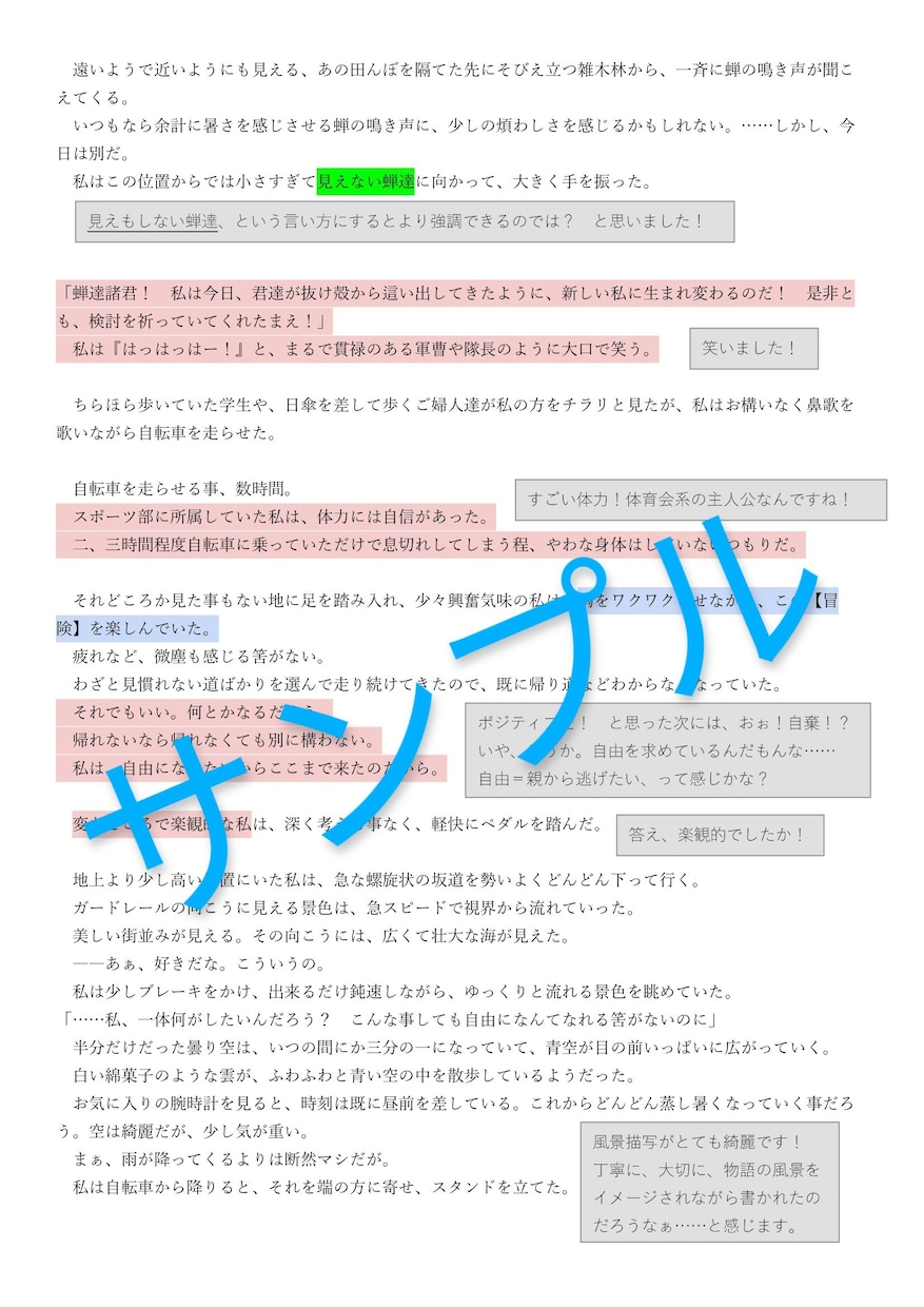 作品に書き込み型の感想を納品します 丁寧な対応を心掛けております！ イメージ3