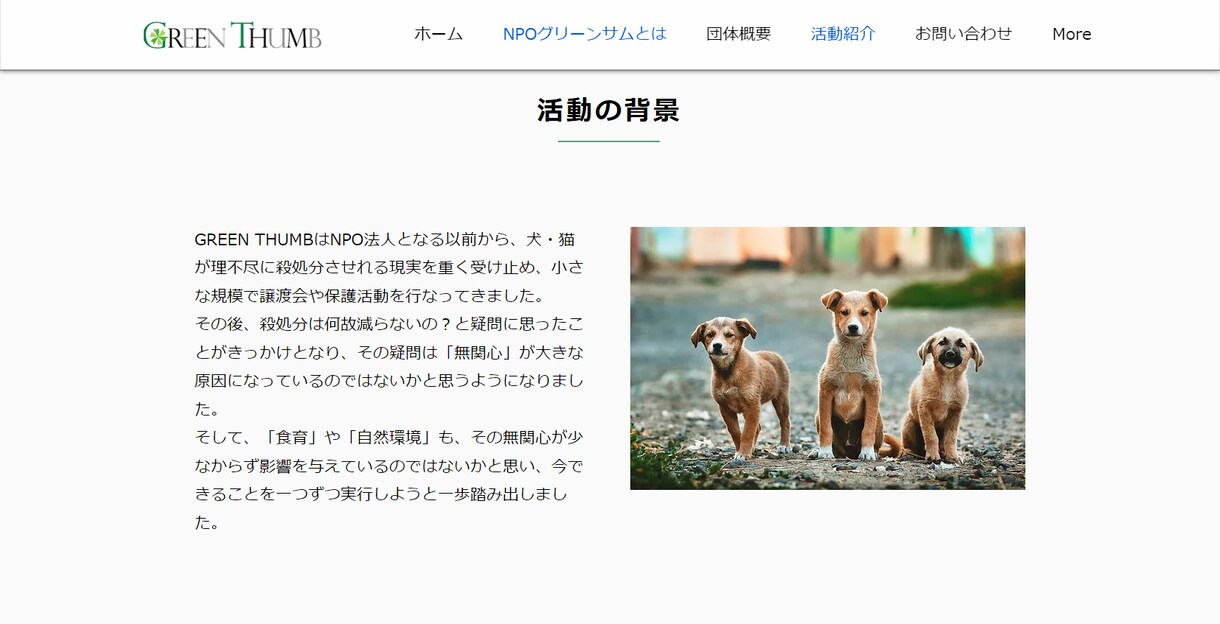 更新が自分でできるWixでホームページを制作します 面倒なサーバー契約が不要でセキュリティの心配もいりません イメージ9