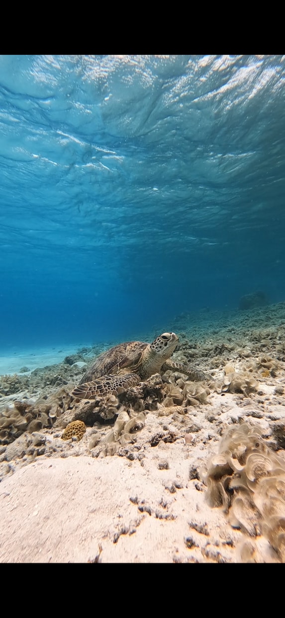 沖縄旅行プランニング、しおり作りします 皆さまの沖縄旅行を最高にするお手伝いをさせて下さい！ イメージ1