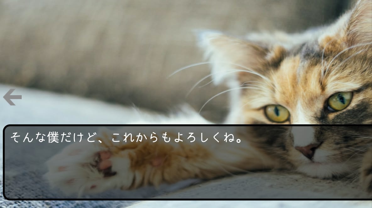 Androidアプリの作成までビデオサポートします 環境準備～簡単なアプリ作成までしっかりマスター! イメージ8