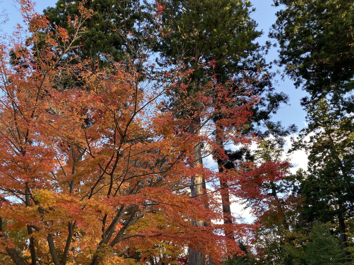 一緒に話しませんか？待ってます どんな話題でも大丈夫です。一緒に話しませんか？ イメージ1