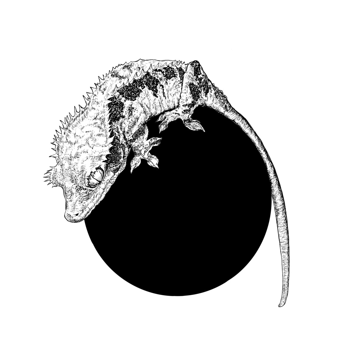 ペットの似顔絵・生物画を生き生きと描きます ペットの似顔絵など、生き生きした動物画をデジタルで書きます。 イメージ2