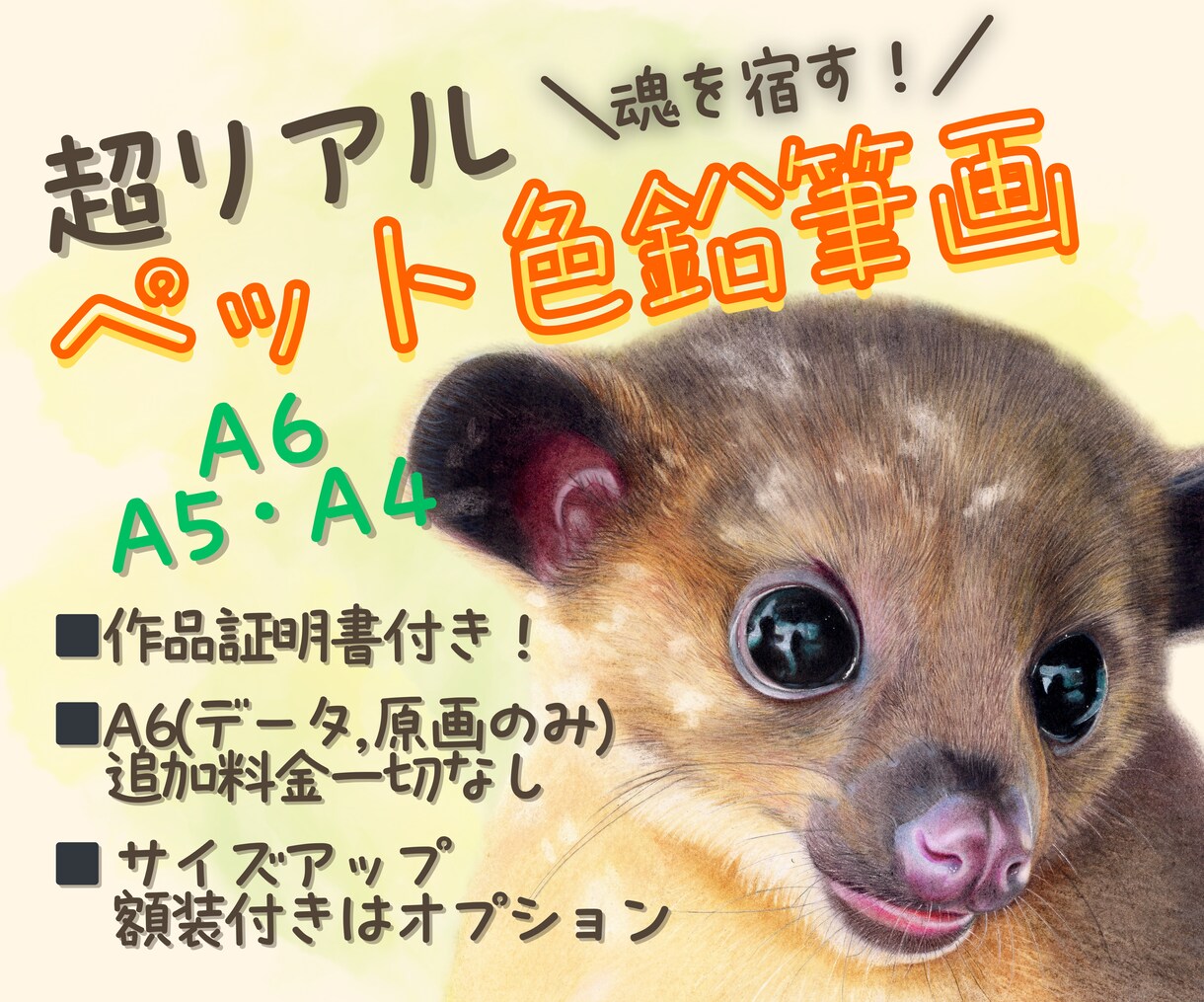 ペット色鉛筆画▶︎超リアルな似顔絵お描きします ーA6サイズです！サイズアップ・額装付きはオプションから♩ イメージ1