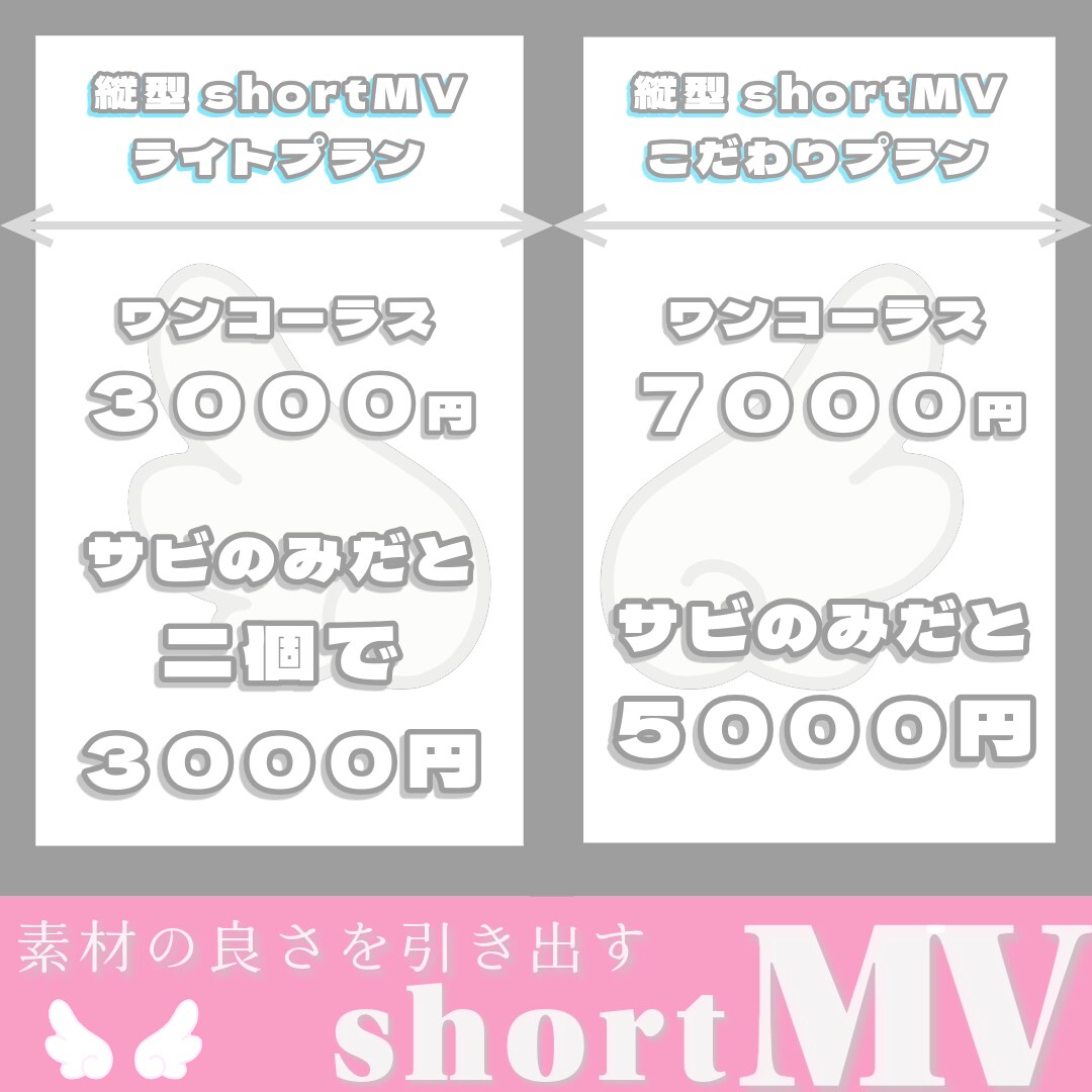 活動を彩る！shortMVを作成いたします 素材の良さを最大限引き出すshortMVを作成いたします！！ イメージ2