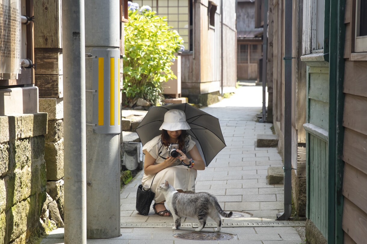 5名様限定価格】プロフ、家族写真撮ります 緊張せず自然体で、印象に残るプロフ/家族写真にします イメージ7