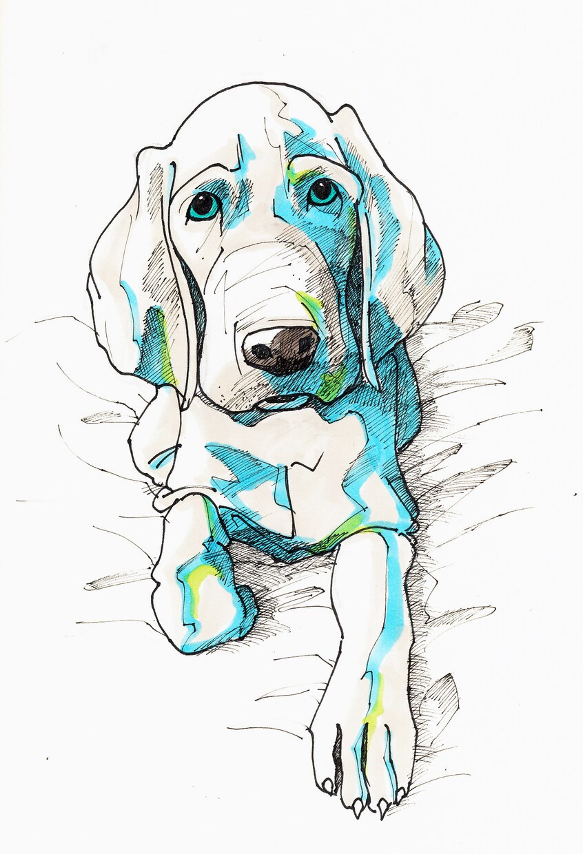 ペットや動物のイラスト手描きで描きます ★おしゃれな動物イラストおまかせください イメージ3