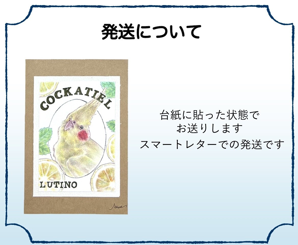 お好きな鳥さんでイラスト作成します 癒しの一点もの！手描きの色鉛筆原画　鳥好きさんに イメージ4