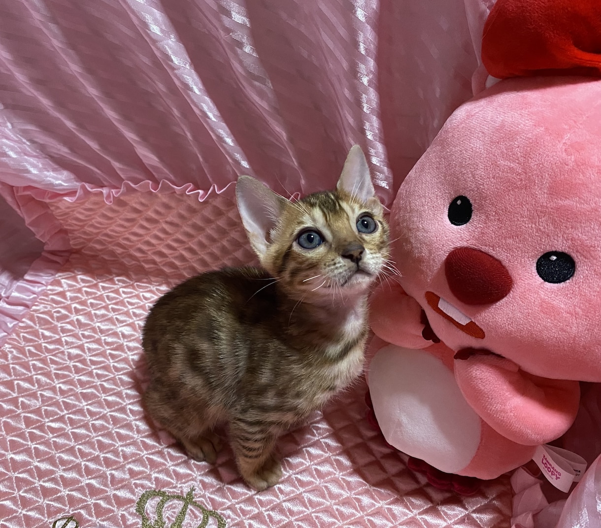 霊感霊視★すべてのお悩みに電話鑑定いたします どうしたらいいのかわからず、無理して独りで考えこんでいる方 イメージ1