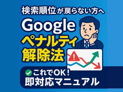 ペナルティーによる検索順位低下を改善します 検索順位がかなり落ちてしまい、もとに戻せないとお困りの方向け イメージ1