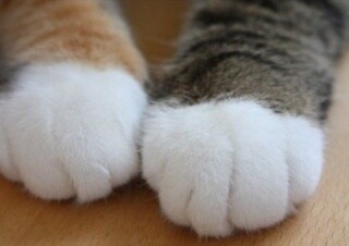 話聞きます 嬉しいこと困っていることなんでも大丈夫です！秘密厳守！ イメージ1