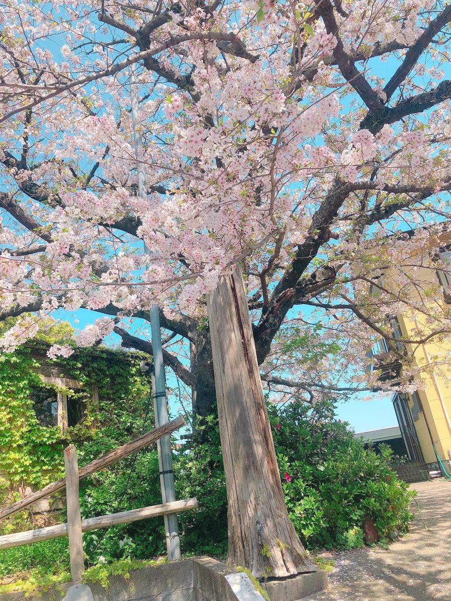 愚痴や悩み、恋愛相談、人間関係のお話お聞きます 心の声、いつでもここで。気軽に話せる安心のひととき イメージ8