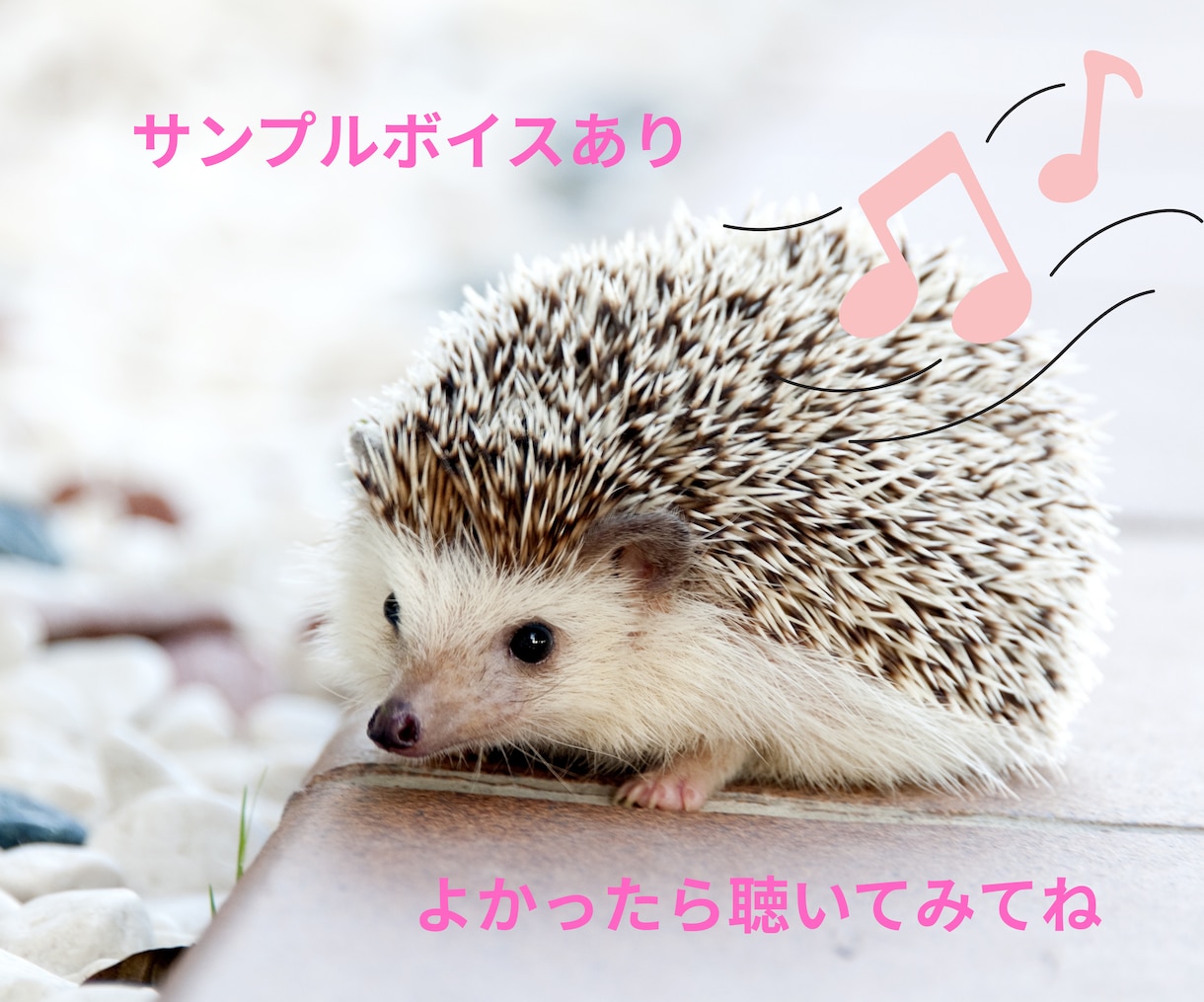 誰かに話したい貴方へ✨️‬優しくお話をお聴きします お悩み/愚痴/雑談/不安…心を整えるお手伝いをします。 イメージ2