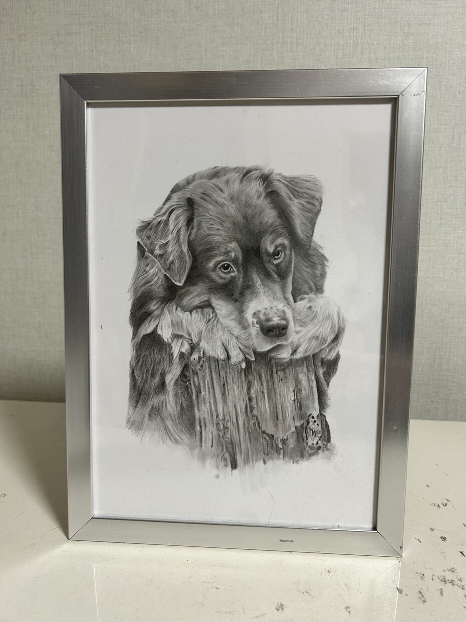 鉛筆画でペットのリアル似顔絵を手描きで作成致します 犬・猫を鉛筆で細部まで丁寧に描きます！ イメージ6