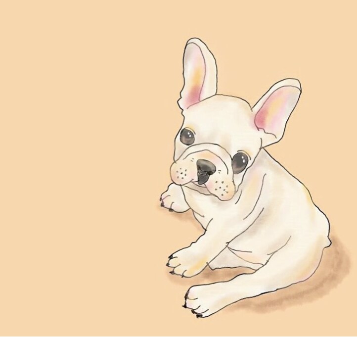 大切な家族(ペット)のイラスト描きます /オプションで印刷対応も承ります☺︎ イメージ3
