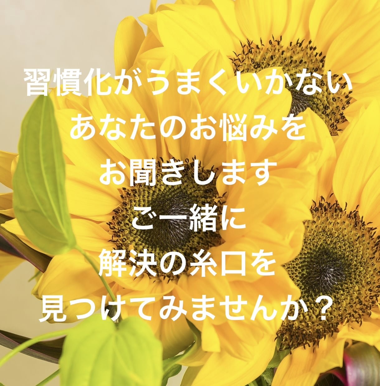 習慣化がうまくいかないあなたのお悩みをお聞きします ご一緒に解決の糸口を見つけてみませんか？ イメージ1