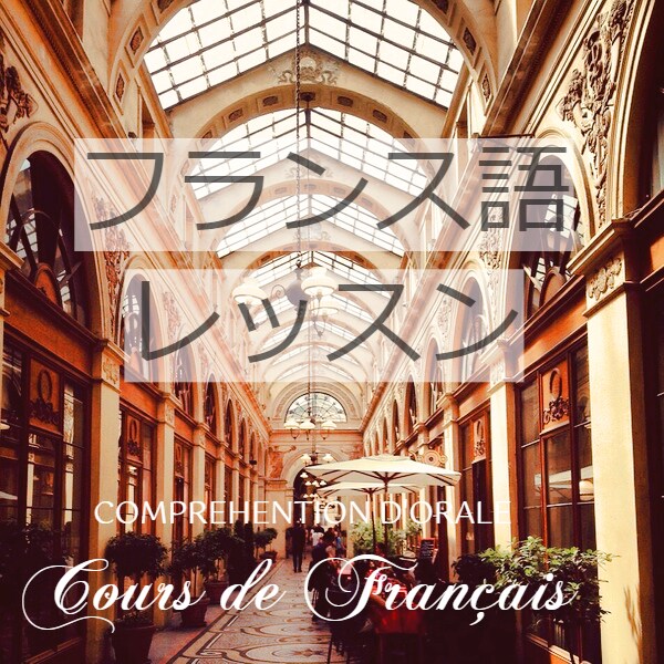 ネイティブなフランス人講師との発音レッスンできます フランス語初心者のかたから、上級者まで イメージ1