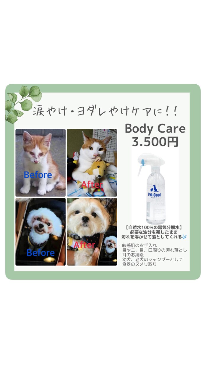 愛犬・愛猫のお悩み相談お聞きします 一人で悩まず、お気軽にご相談ください イメージ6