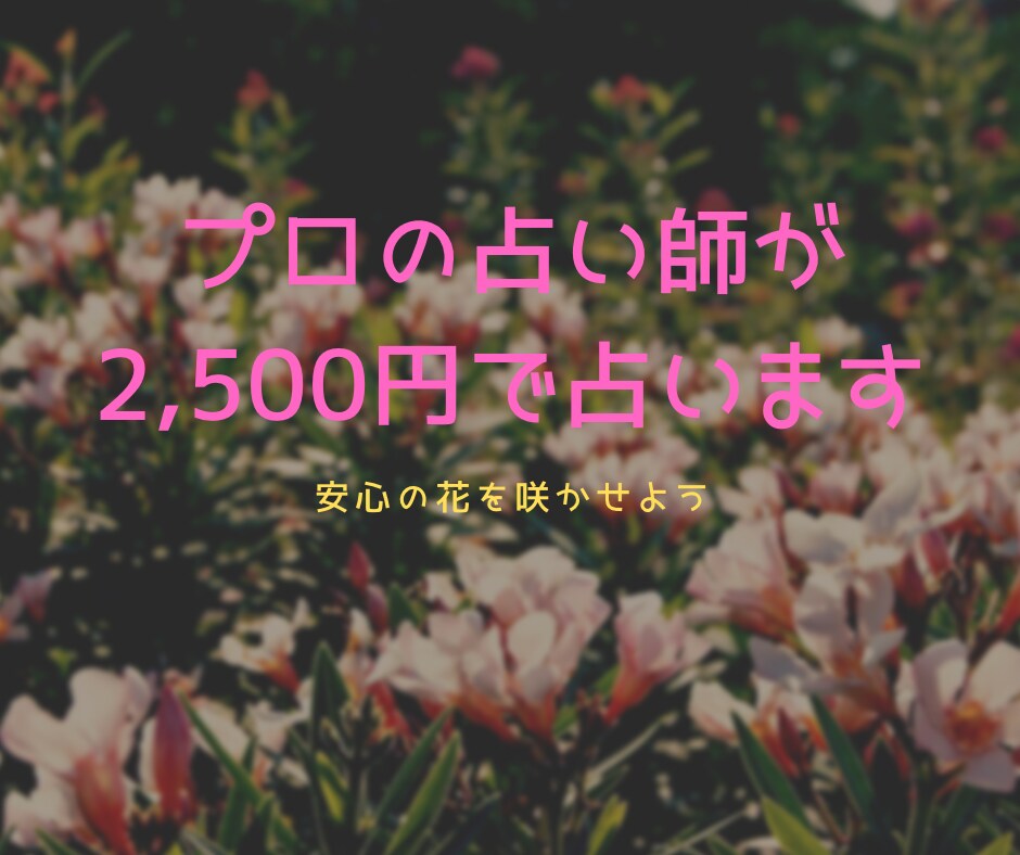将来の不安を解決します プロの鑑定士があなたの未来を切り開きます イメージ1