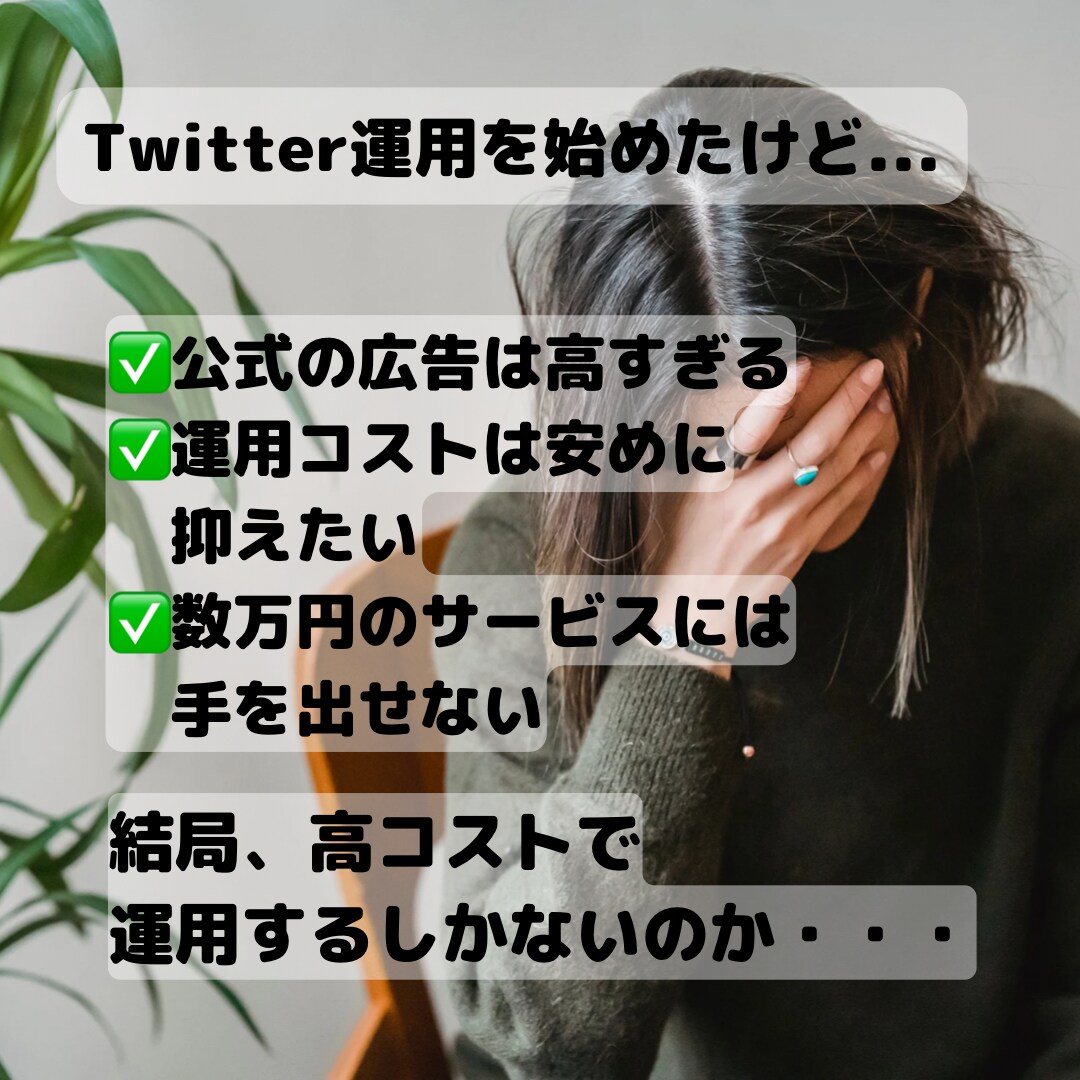 これで決まり！本気のTwitter運用します ファンになるフォロワーを獲得しいいね数アップ！！ イメージ2