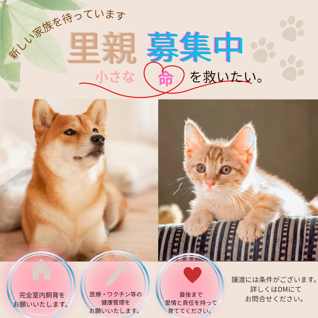 Instagram投稿用画像を作成いたします 一目で目につくInstagram投稿用画像を作成します。 イメージ2