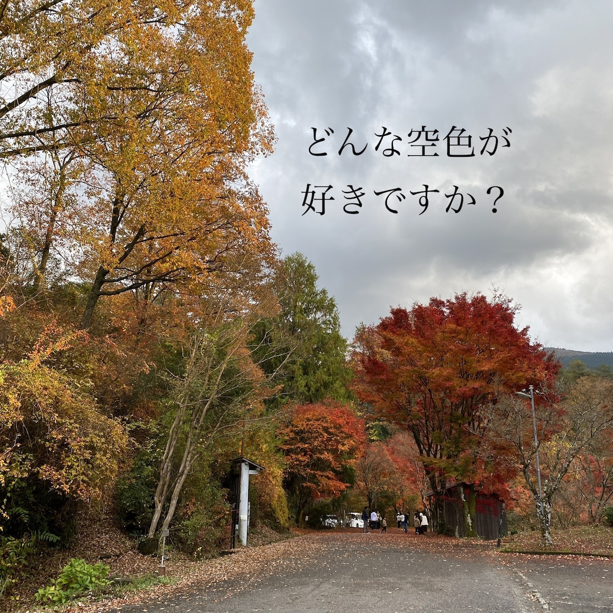 あなたの楽しいを一緒に発見します 人生一度きりだから自分自身を大切にしてほしい イメージ2