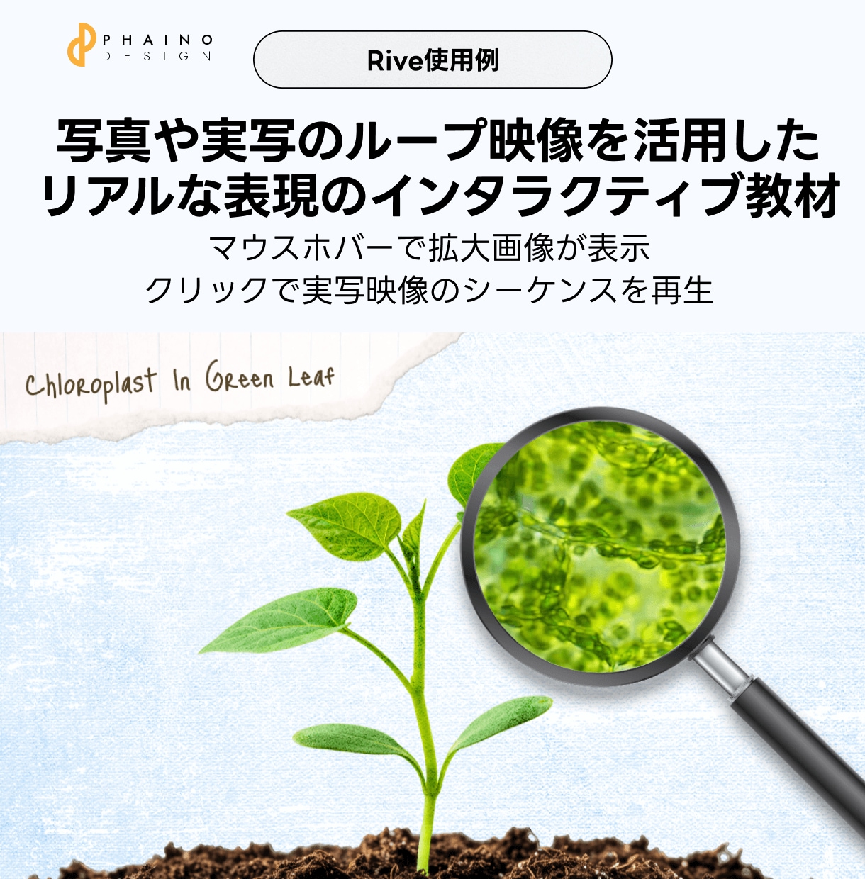 Riveインタラクティブアニメーションを制作します 触って動かせる＆軽量なモーショングラフィックスでリッチに表現 イメージ6