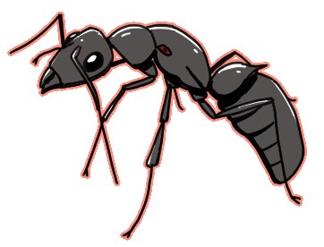 現役昆虫研究員｜学会・論文向けイラストを描きます 学会・論文に使用できる昆虫を中心とした生物の挿絵を作成します イメージ1
