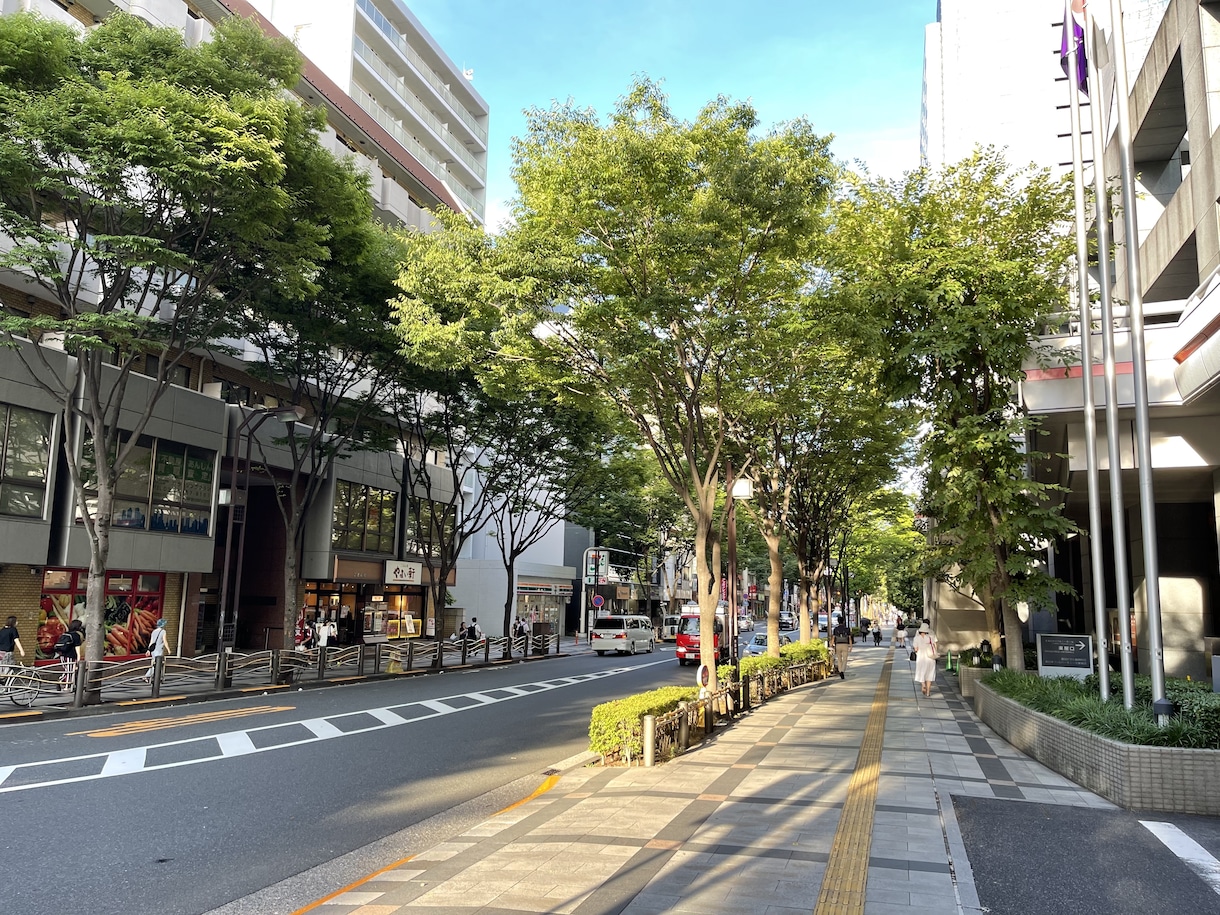 格安で写真の加工・編集承ります 色調補正や背景削除など、様々な編集を格安で提供します！ イメージ3