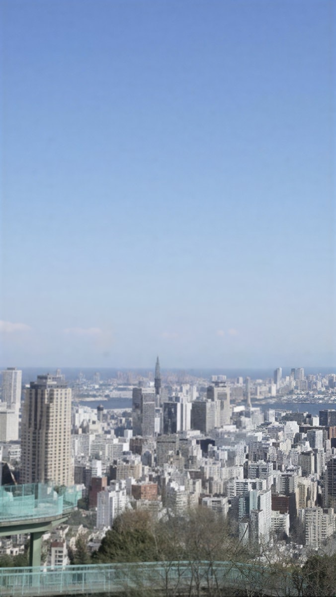 画質を良くします ぼやけ・ピンボケをお直しします！ イメージ1