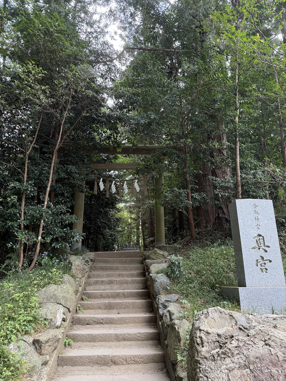 恋愛を霊視◆7日間伴走で現実が動きます 復縁/片思い/音信不通◇毎日の変化を読み解き成就へ導きます イメージ5