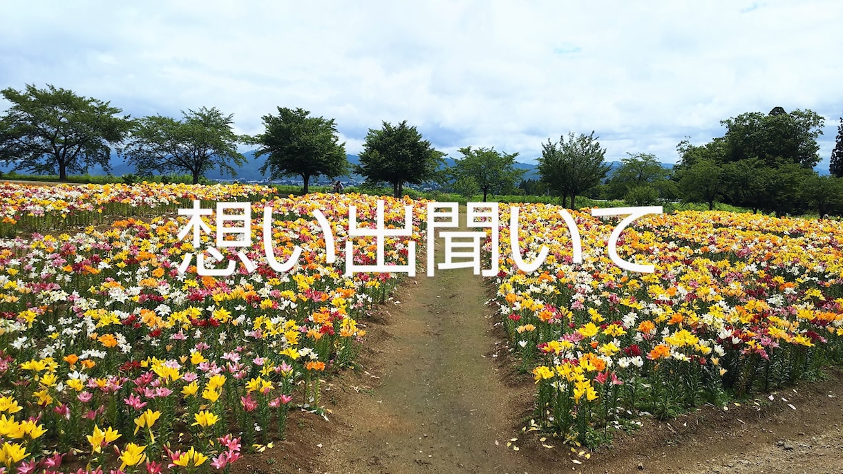 昔のこと、今のこと。大人の女性が優しくお聞きします 昔の想い出や今の境遇をお聞きし、あなたの人生に寄り添います イメージ1